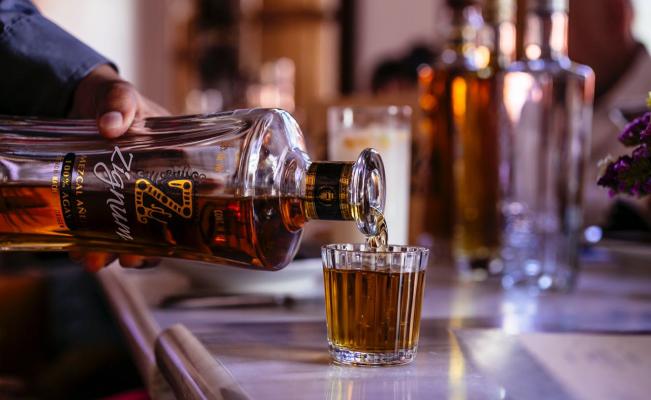 ZIGNUM Mezcal te invita a que descubras más acerca del Agave Espadín, utilizado para la elaboración de este destilado ancestral.