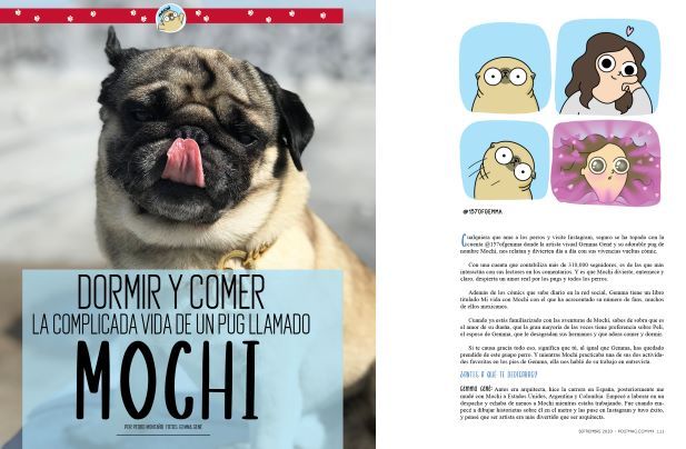 Mochi: La complicada vida de un pug