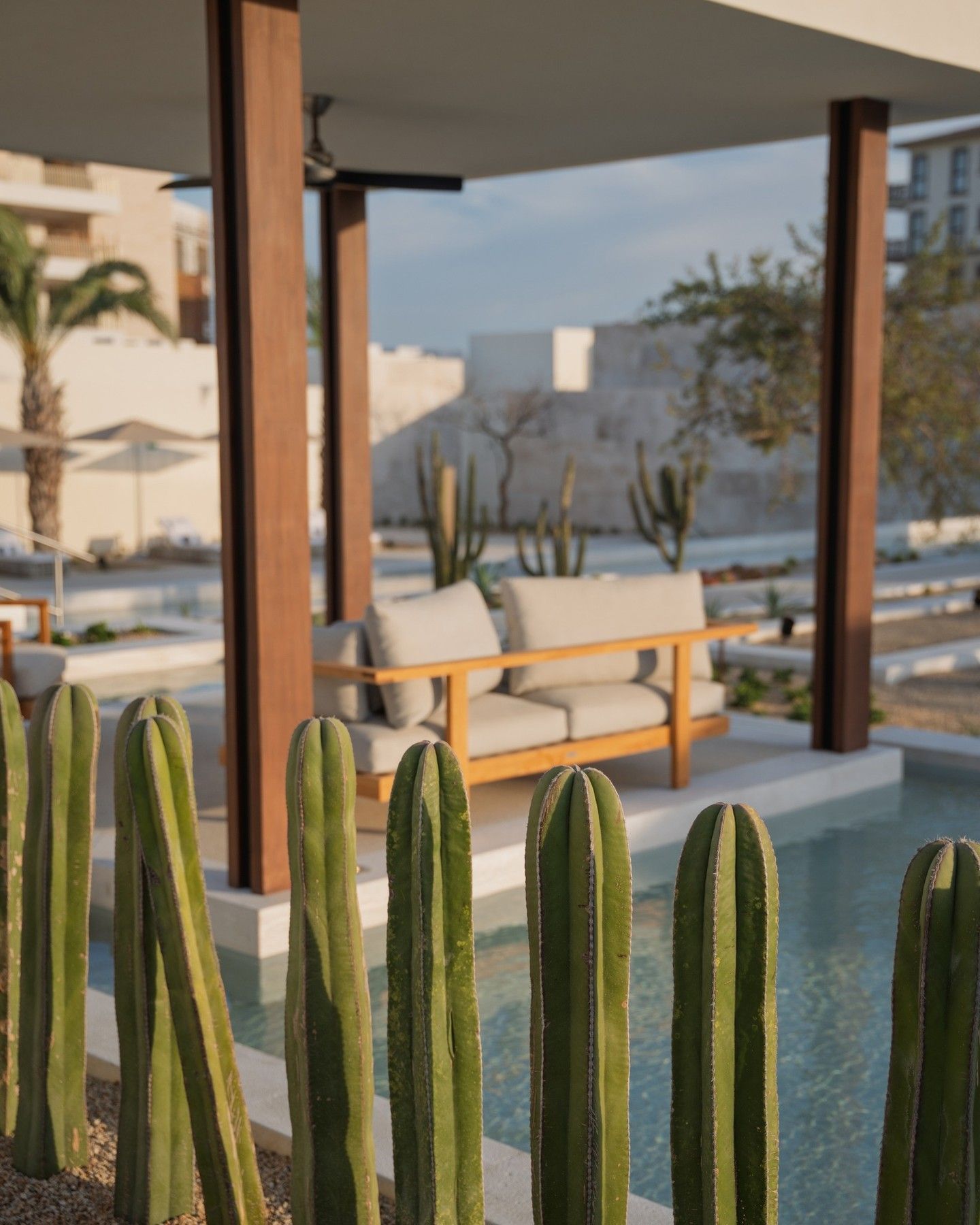 Park Hyatt Cabo del Sol: Lujo y bienestar en el Mar de Cortés