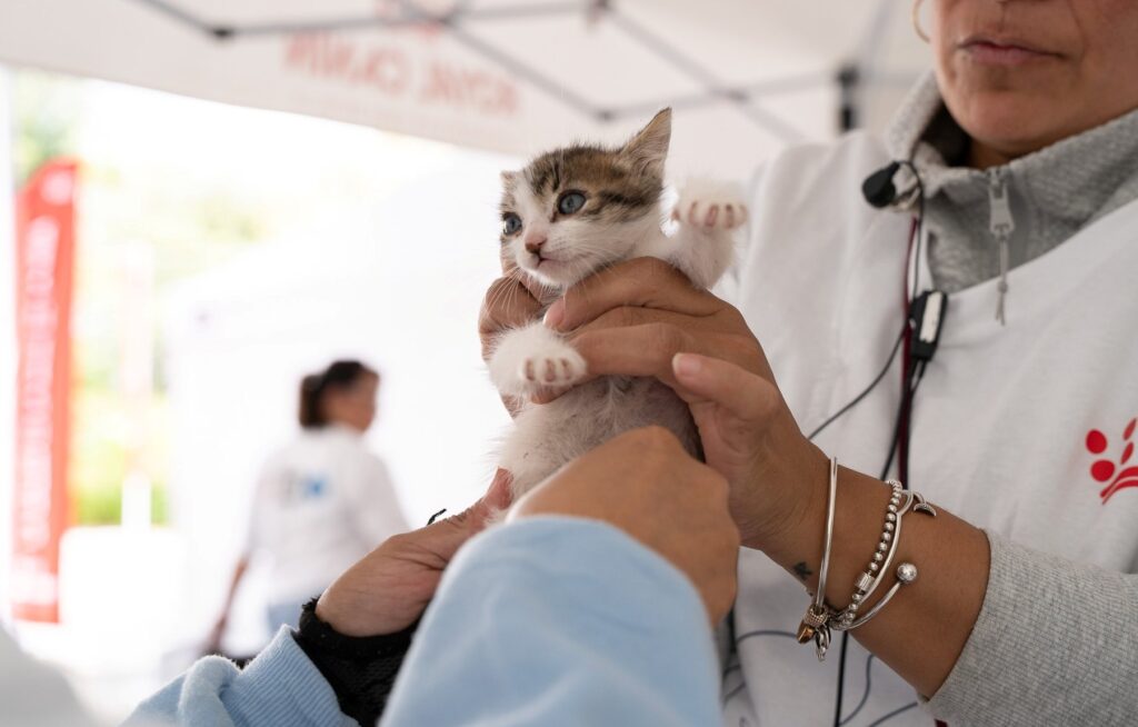 Royal Canin impulsa Jornada de Esterilización en la CDMX