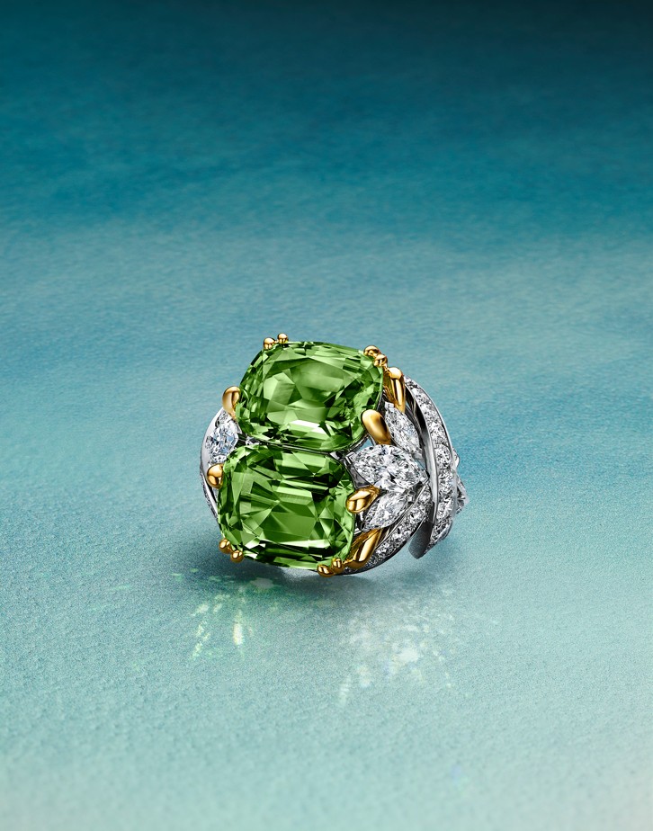 Tiffany & Co. presenta Blue Book Summer 2026: Hidden Garden