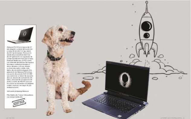 alienware Perritos y artículos must-have: Una galería que te enamorará