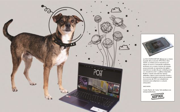 laptop Perritos y artículos must-have: Una galería que te enamorará