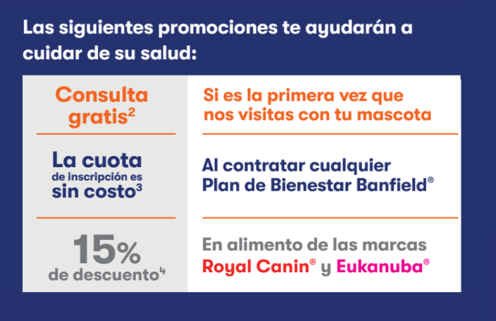 Banfield Pet Hospital: El mejor cuidado para tu perro