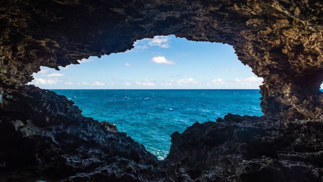Barbados: La pequeña isla en el Caribe ofrece experiencias perfectas