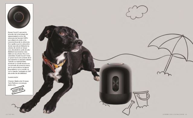 huawei Perritos y artículos must-have: Una galería que te enamorará