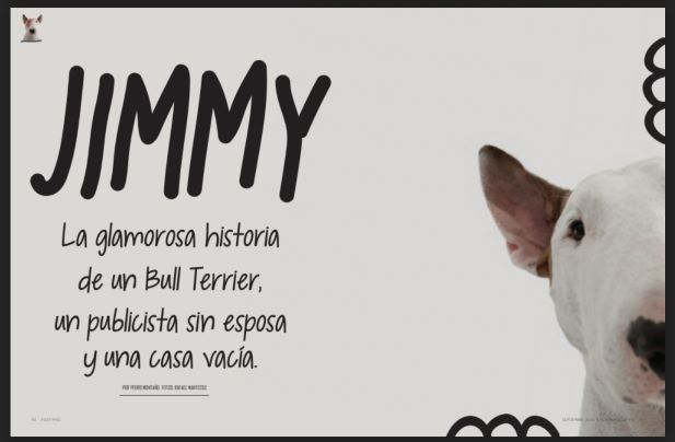 POST Mag edición septiembre: DOG Issue