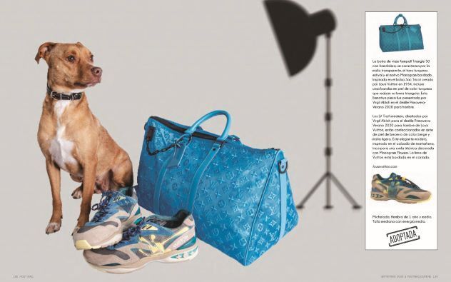 louis vuitton Perritos y artículos must-have: Una galería que te enamorará