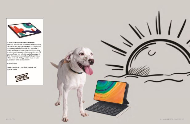 tablet Perritos y artículos must-have: Una galería que te enamorará