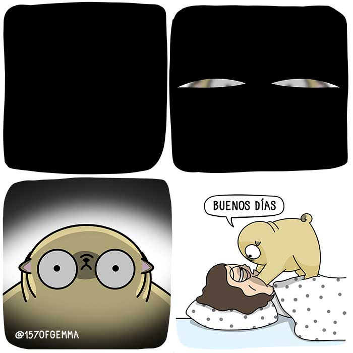 Mochi: La complicada vida de un pug