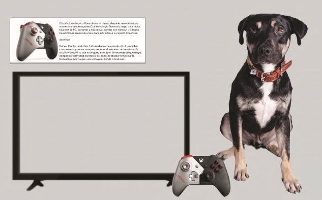 xbox Perritos y artículos must-have: Una galería que te enamorará