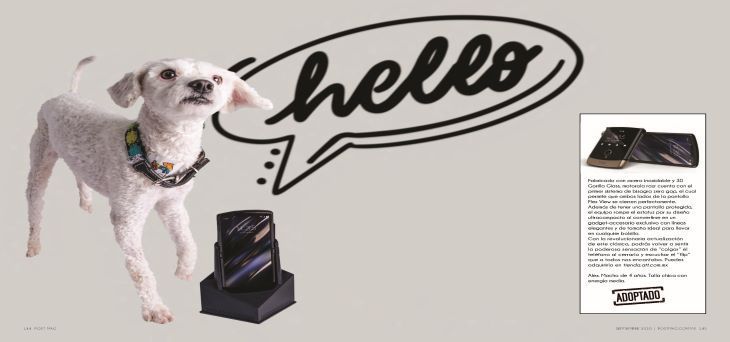 motorola Perritos y artículos must-have: Una galería que te enamorará
