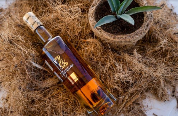 Zignum Mezcal: El más premiado y con prestigio internacional