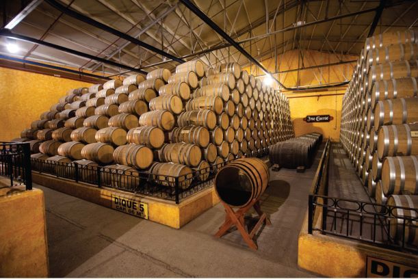 Mundo Cuervo, la división de turismo y hospitalidad de José Cuervo, creó “Un día en los campos de agave”.