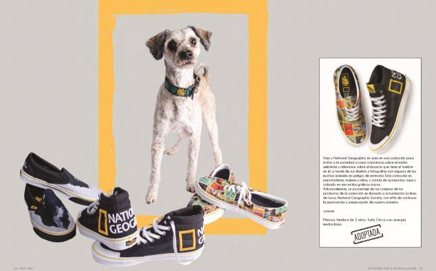 vans Perritos y artículos must-have: Una galería que te enamorará