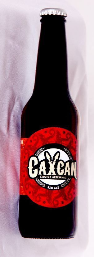 Zacatecas: Tierra de deliciosas cervezas artesanales
