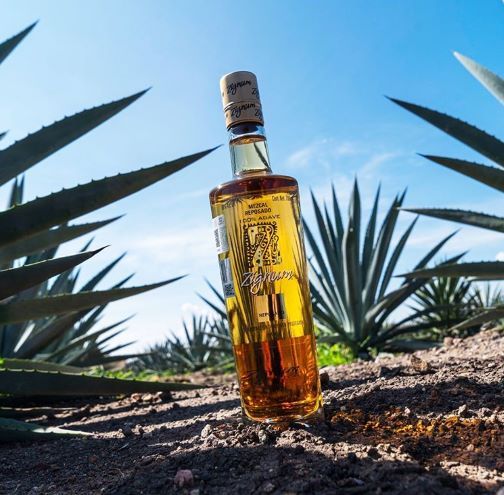 Zignum Mezcal: El más premiado y con prestigio internacional